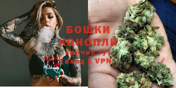 PSILOCYBIN Магас