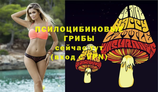 первитин Армянск